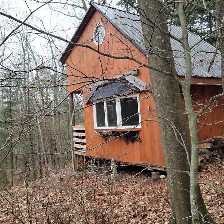 Vana Kuti-Cabin In The Woods Camden Dış mekan fotoğraf