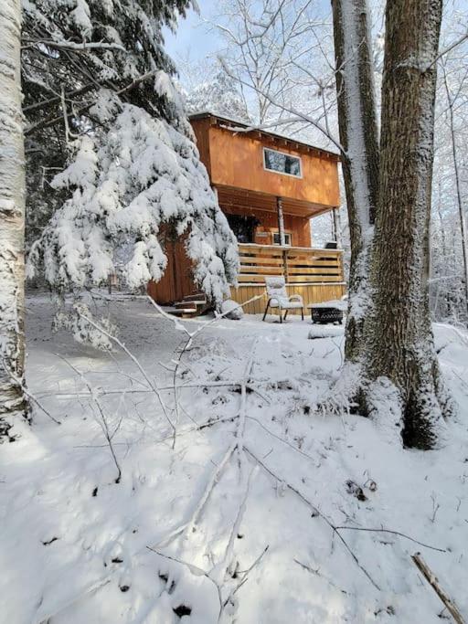 Vana Kuti-Cabin In The Woods Camden Dış mekan fotoğraf