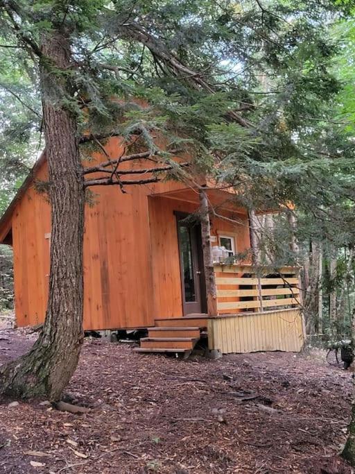 Vana Kuti-Cabin In The Woods Camden Dış mekan fotoğraf