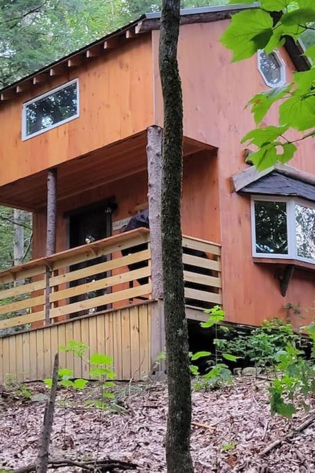 Vana Kuti-Cabin In The Woods Camden Dış mekan fotoğraf